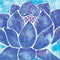 Cat Coq Blue Lotus Xbox 360 (Includes HDD) Skin